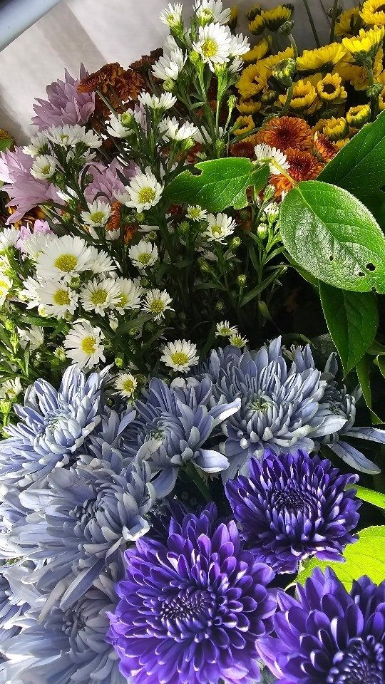 We have all the colours!! The fridge was filled up tight at Station 2 Studio last night. 

#florista #Flowery #orilliafloriat #blooms #downtownorillia #firehallfloweryandgarden #historicfirehouse