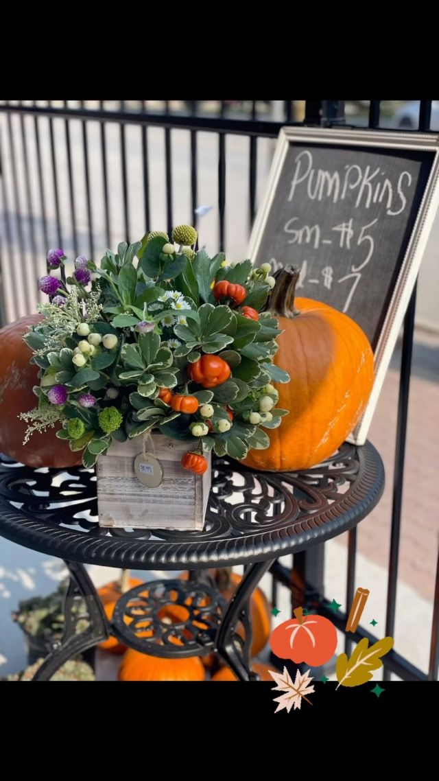 Happy Friday! 🍁🍂✨
Don’t Forget Your Centrepieces! 

We’re Open:
Friday 9-6
Saturday 10-5
Sunday 10-2
Monday Closed for Thanksgiving

#florist #flowery #orillia  #downtownorillia #simcoecounty #firehallflowery #centrepiece #Thanksgiving #fall