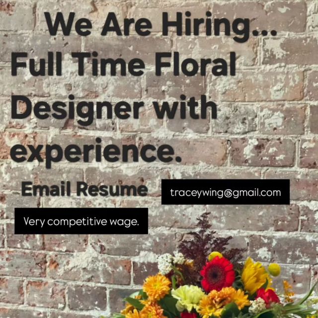 We are hiring!!
Full-time Floral Designer with experience in a Floral Shop setting. Very competitive wage. Friendly atmosphere. Please send a resume to traceywing@gmail.com in confidence. I'm looking forward to meeting my next team member.
@orilliachamber @downtownorilliabia 

#floraldesigner #hiring #orillia #floristorillia #flowery #floraldesignersofinstagram